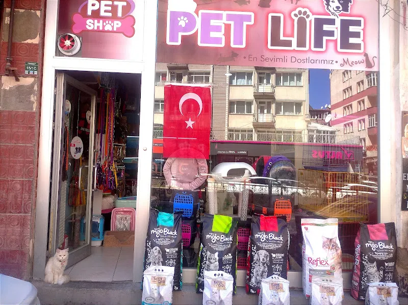 Petlife petshop foto 1