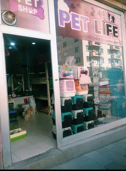 Petlife petshop foto 2