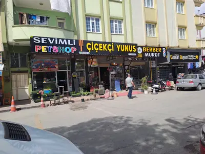 Sevimli PetShop Akvaryum