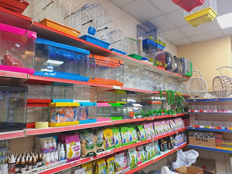 Sevimli PetShop Akvaryum foto 2