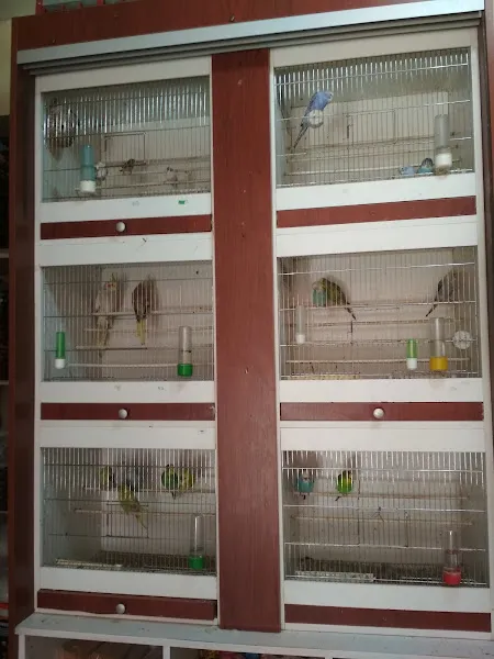 M.D. Akvaryum Pet Shop foto 2