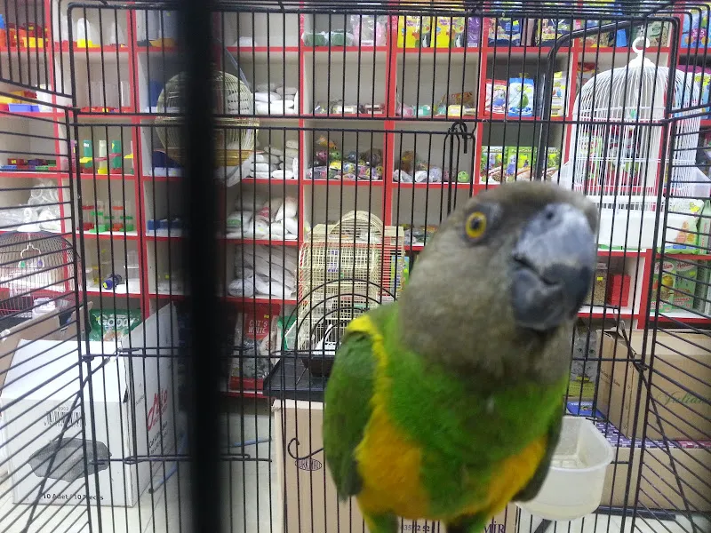 Fme Petshop foto 2