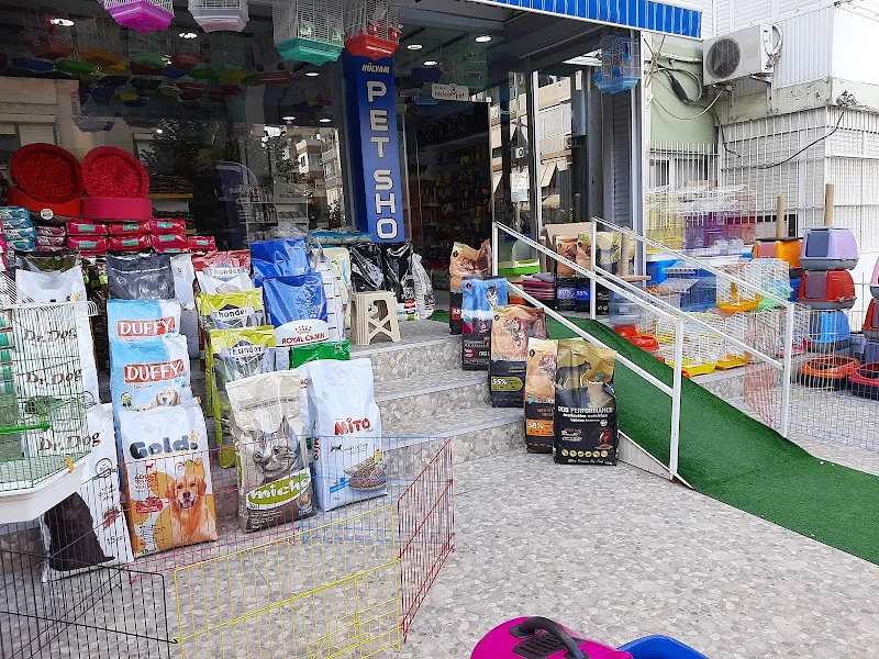 Hülyam Petshop foto 1
