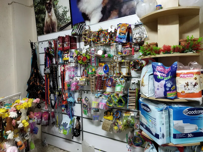 Nemo Pet Shop foto 1