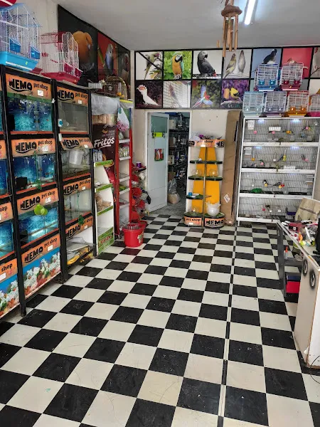 Nemo Pet Shop foto 2