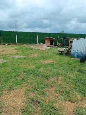 K9 DOG Club - Köpek Eğitimi fotoğrafı