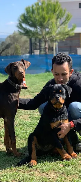 PatikaK9 Ankara Köpek Eğitim Merkezi foto 2