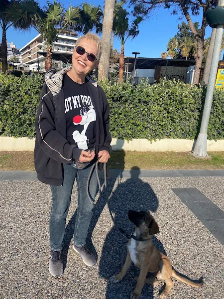 Manavgat Köpek Eğitim (Efe K9) Evinizde Köpek Eğitimi foto 2