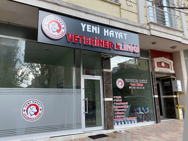Defne veteriner kliniği foto 2