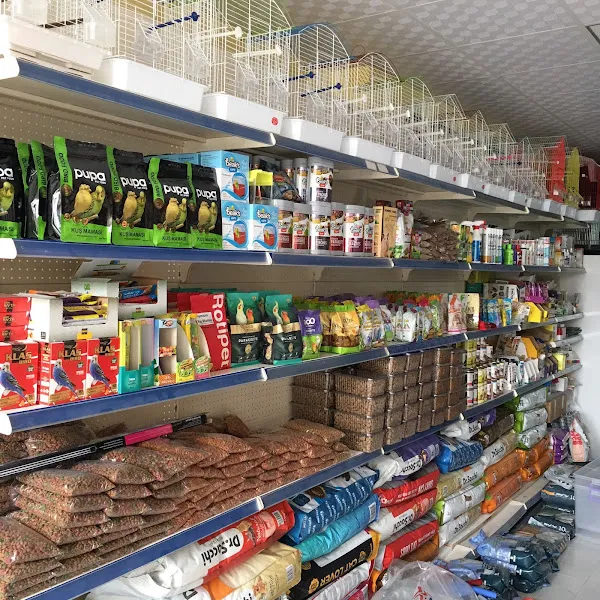 Köylüm Petshop foto 2