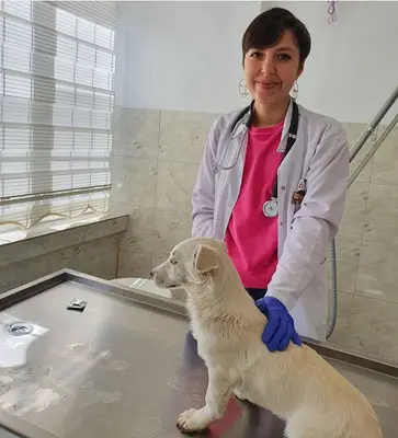 Savaş Akgün Veteriner Kliniği