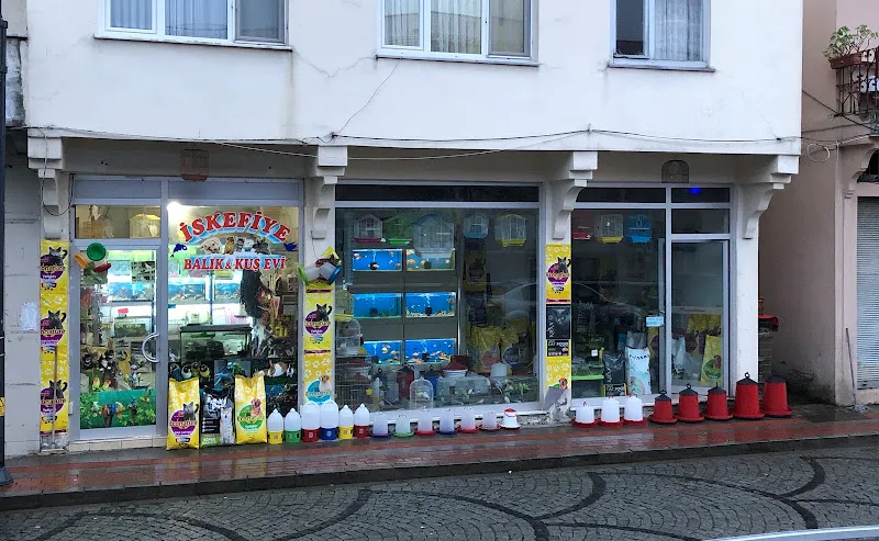 Akvaryum ve kuş evi çarşıbaşı ergin petshop foto 2