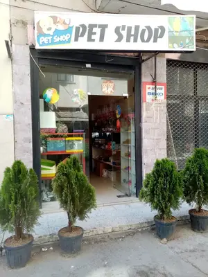 Tontiş Petshop fotoğrafı