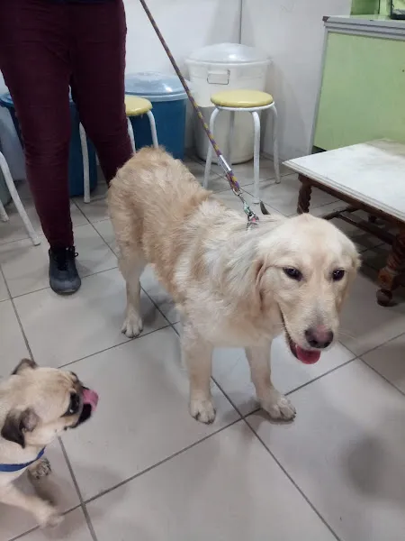ŞİFA VETERİNER HİZ.TİC.LTD ŞTİ foto 2