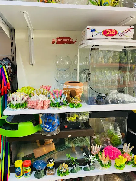 Akbulut Petshop foto 2