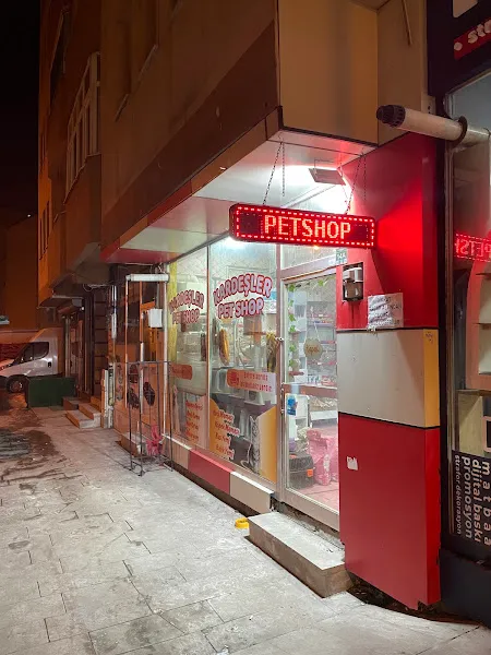 Kardeşler petshop Erzurum foto 2