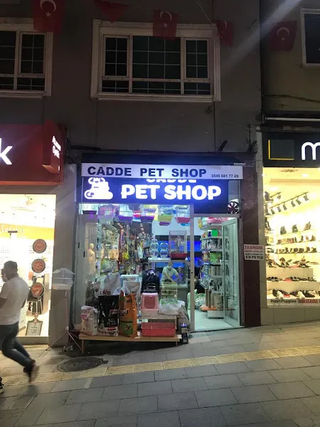 Giresun Cadde Pet Shop foto 1
