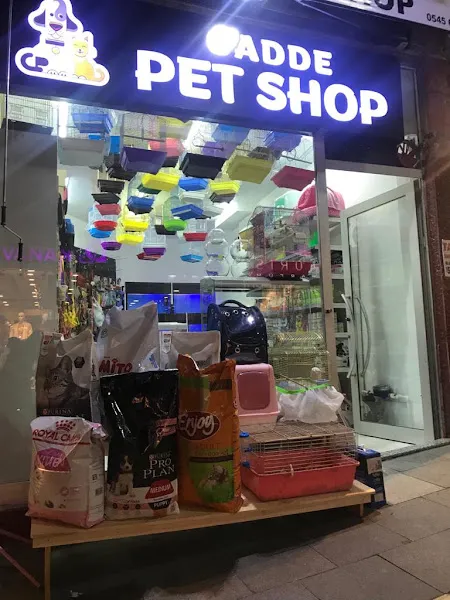 Giresun Cadde Pet Shop foto 2