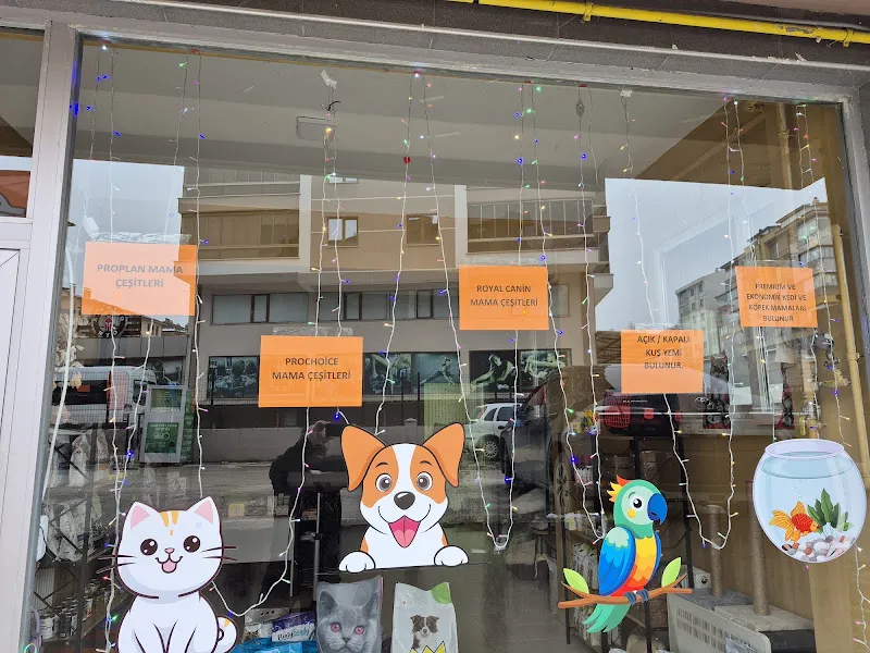 Can Dost Petshop foto 2