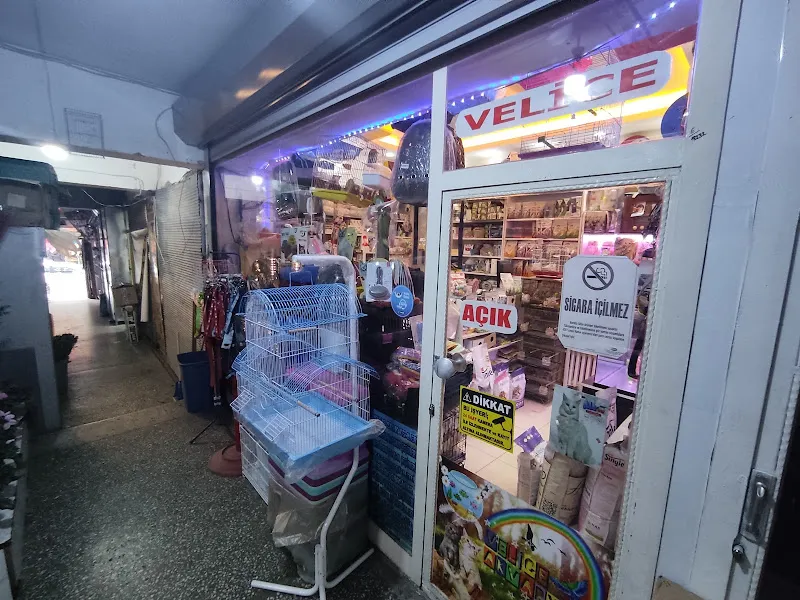 Ülker Petshop&Petkuaför foto 2