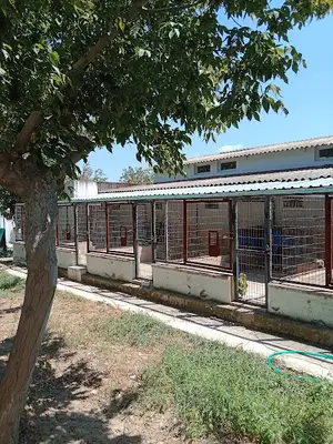 Hayvan Barınağı