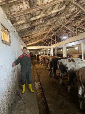 Oltu kapalı hayvan pazarı