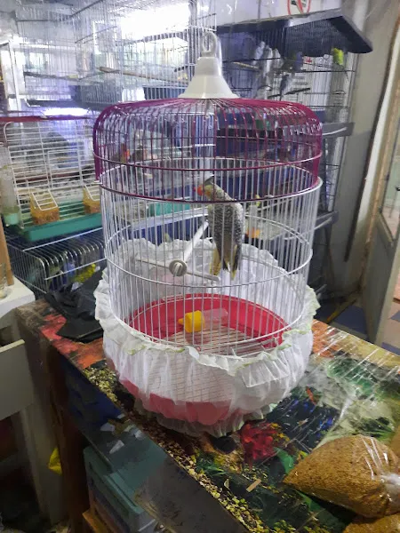 Manyas petshop foto 2