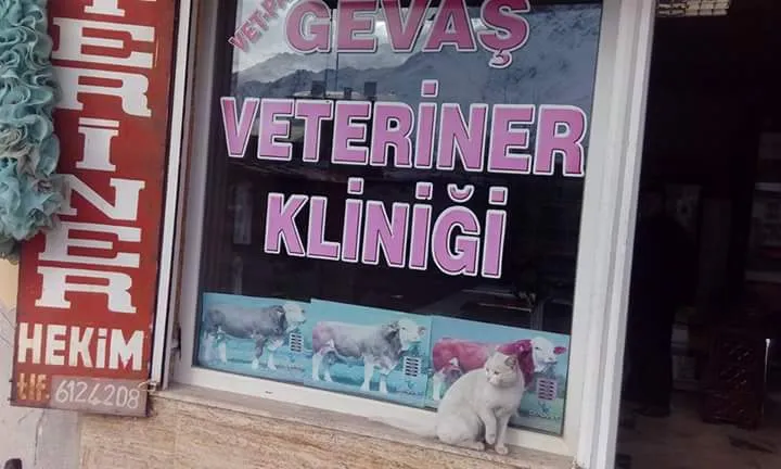 Vet-pa Veteriner Kliniği foto 2