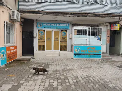 ATAM PET MARKET fotoğrafı