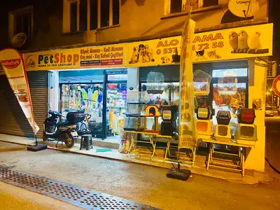 Dfc Pet fotoğrafı
