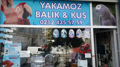 Yakamoz Akvaryum