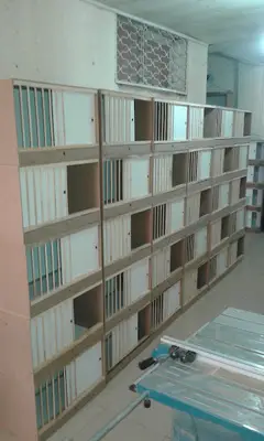 Evcil hayvan çarşı fotoğrafı