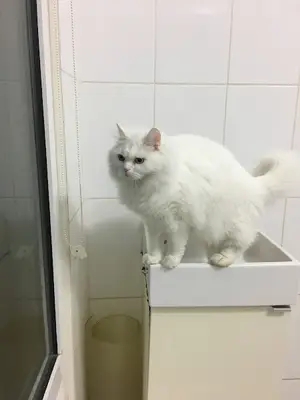 Tunay Veteriner Kliniği fotoğrafı