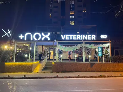 Nox Veteriner Kliniği | 7/24 Acil Veteriner | Bursa Veteriner | Nilüfer Veteriner | Nöbetçi Veteriner fotoğrafı