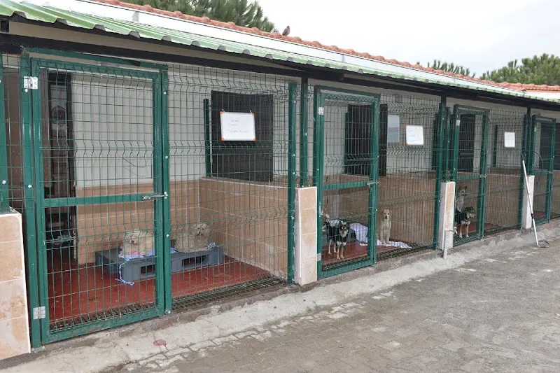 Yıldırım Belediyesi Sahipsiz Hayvan Barınağı foto 2