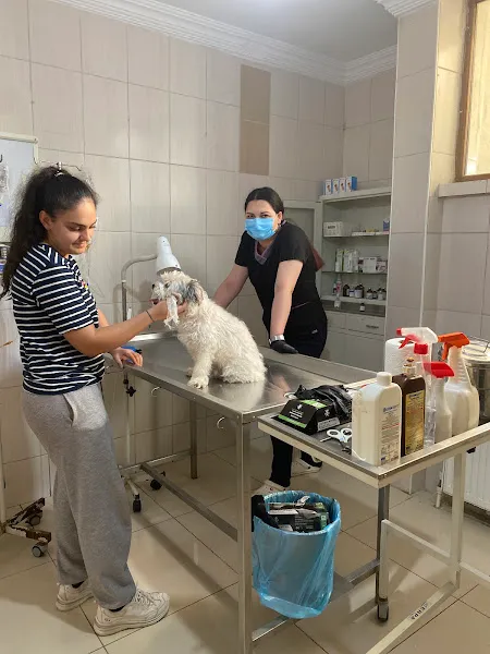 Tekiz Veteriner Kliniği foto 2