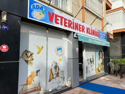 ADA VETERİNER KLİNİĞİ 🏝️ fotoğrafı