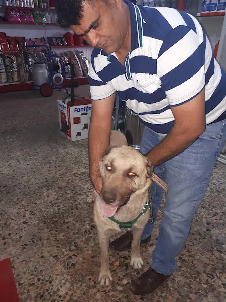 Nezir Veteriner Muayenehanesi foto 2