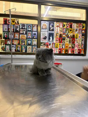 Vetland Veteriner Kliniği fotoğrafı