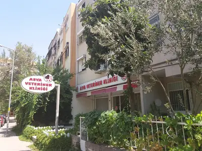 Asya Veteriner Kliniği fotoğrafı