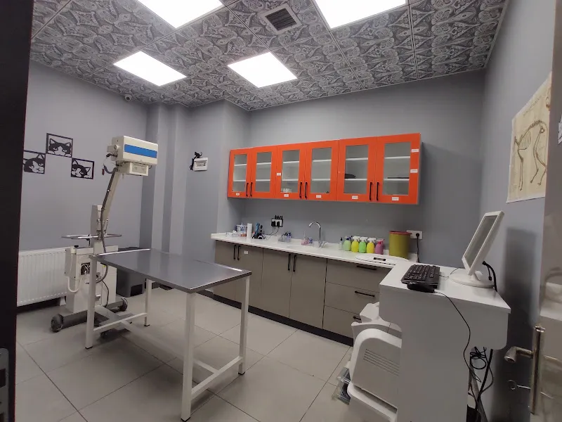 Petkey Veteriner Kliniği (Yeni Batı) foto 1