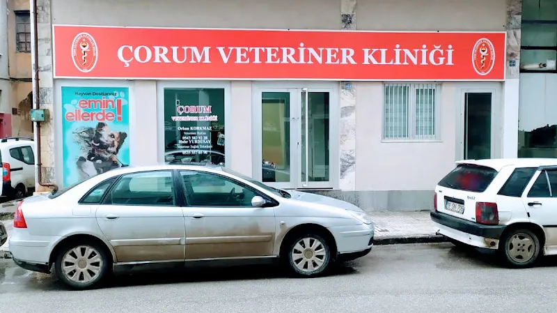 ÇORUM VETERiNER KLiNiĞi foto 2