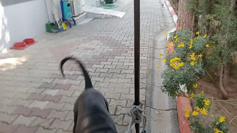 Menderes Belediyesi Veteriner Işleri Müdürlüğü foto 2