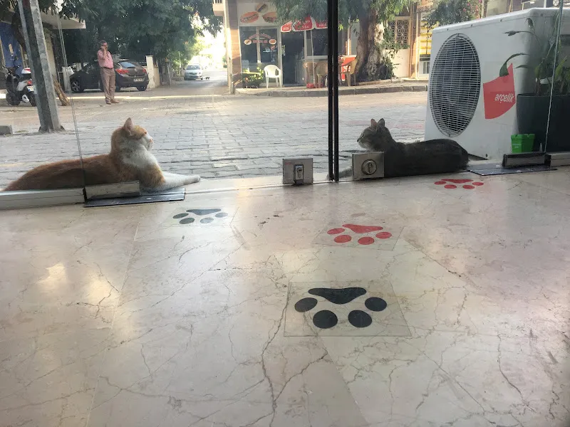 Oksijen Veteriner Kliniği foto 2