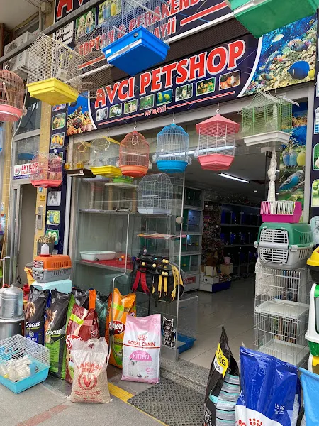 RİZE AVCI PETSHOP foto 2