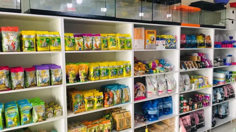 AKKENT OKYANUS PET SHOP foto 2