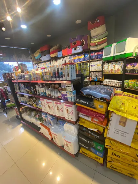 Pomerboo Pet Shop foto 2