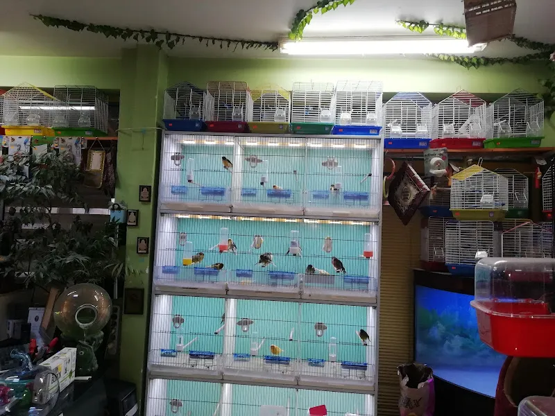 Klas Pet Shop foto 2