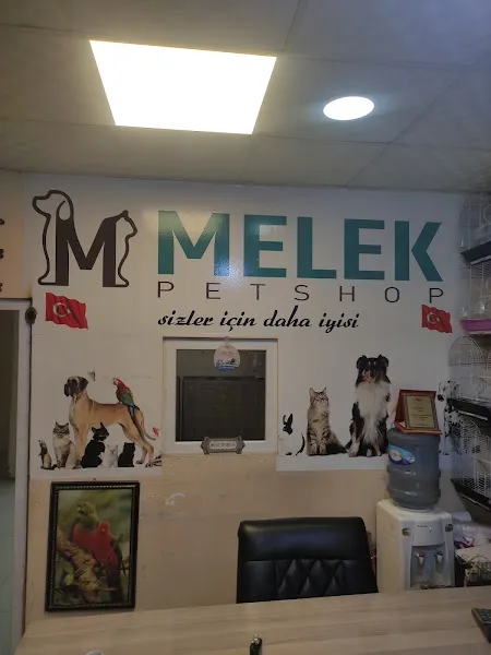 Melek Akvaryum Ve Kuş Dünyası foto 1