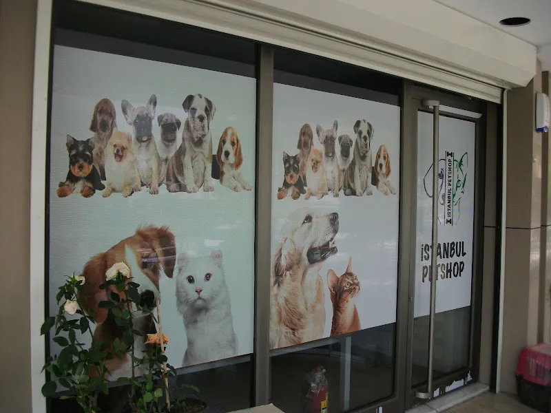 Petshop İstanbul foto 2